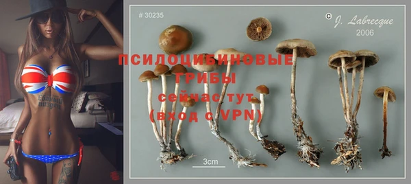 дживик Володарск