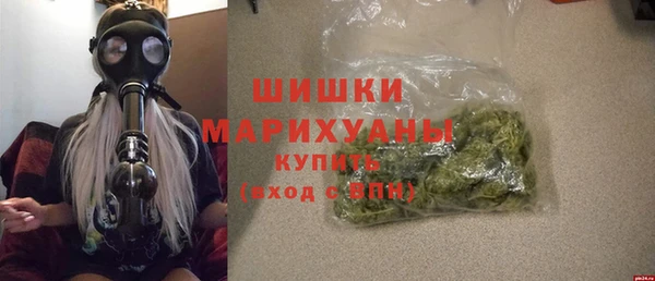 дживик Володарск