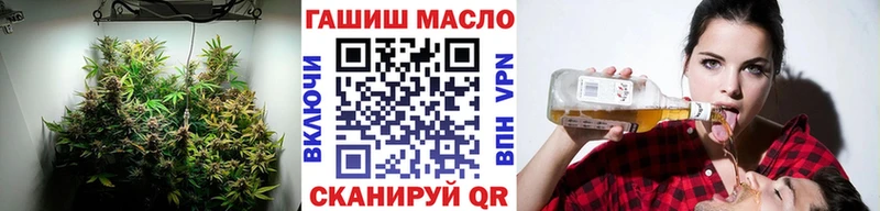 Дистиллят ТГК Wax Мураши