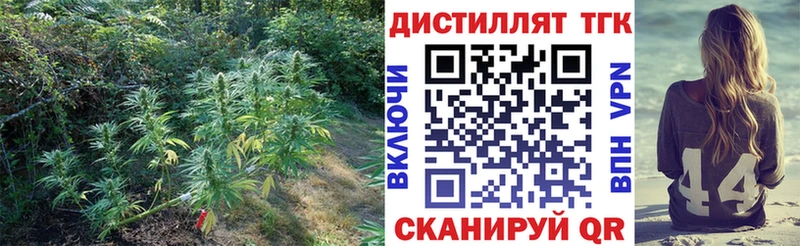 Купить  Мураши  ТГК THC oil 