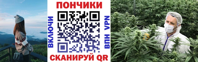 Канабис индика Мураши